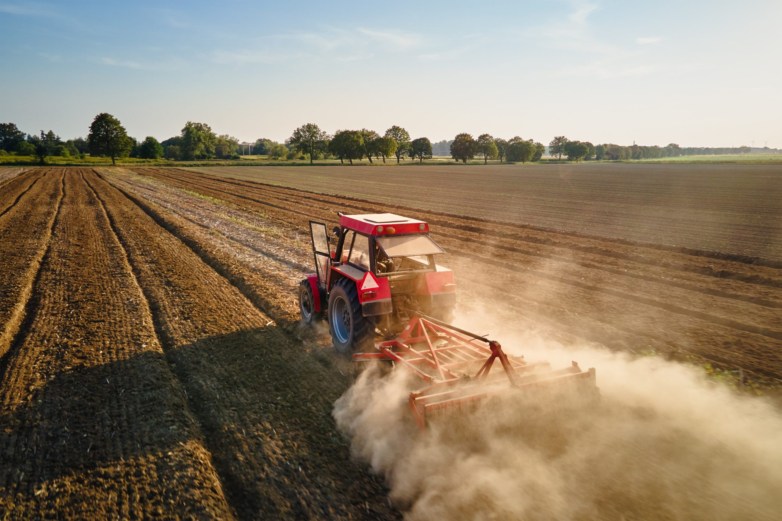 Datengetriebene Beratung für Landwirtschaft und Lebensmittelverarbeitung